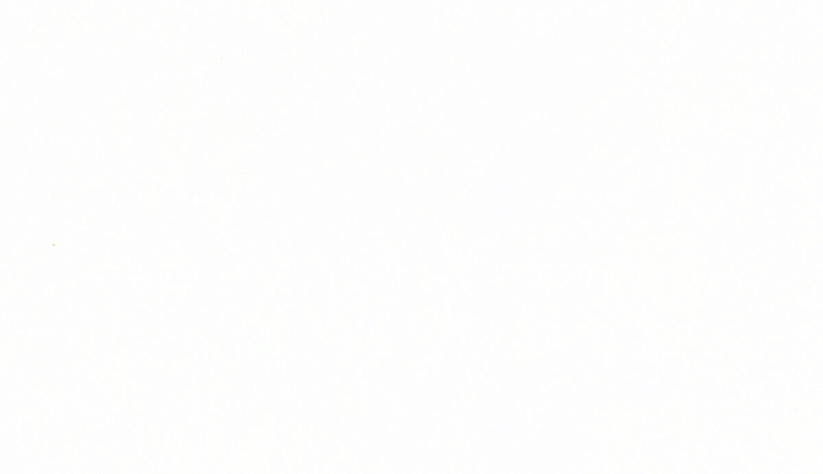 9869 Обои Marburg (Patent Decor) (1*12) 10,05х0,53 флиз