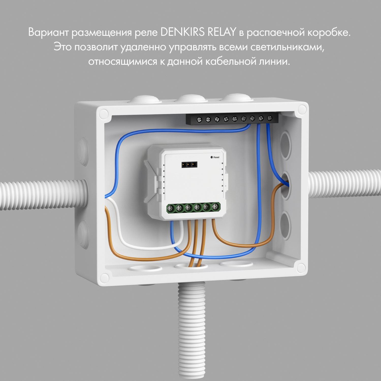Двухканальное Wi-Fi реле-диммер Denkirs RL1004-DM