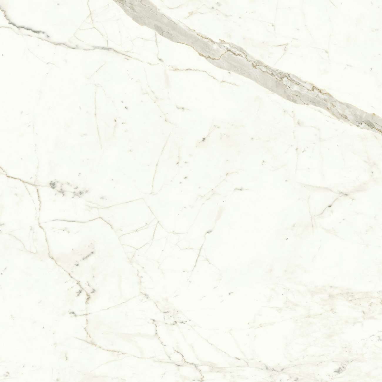 Керамогранит Marvel Calacatta Prestigio 120x120 Matt (A4Q5)