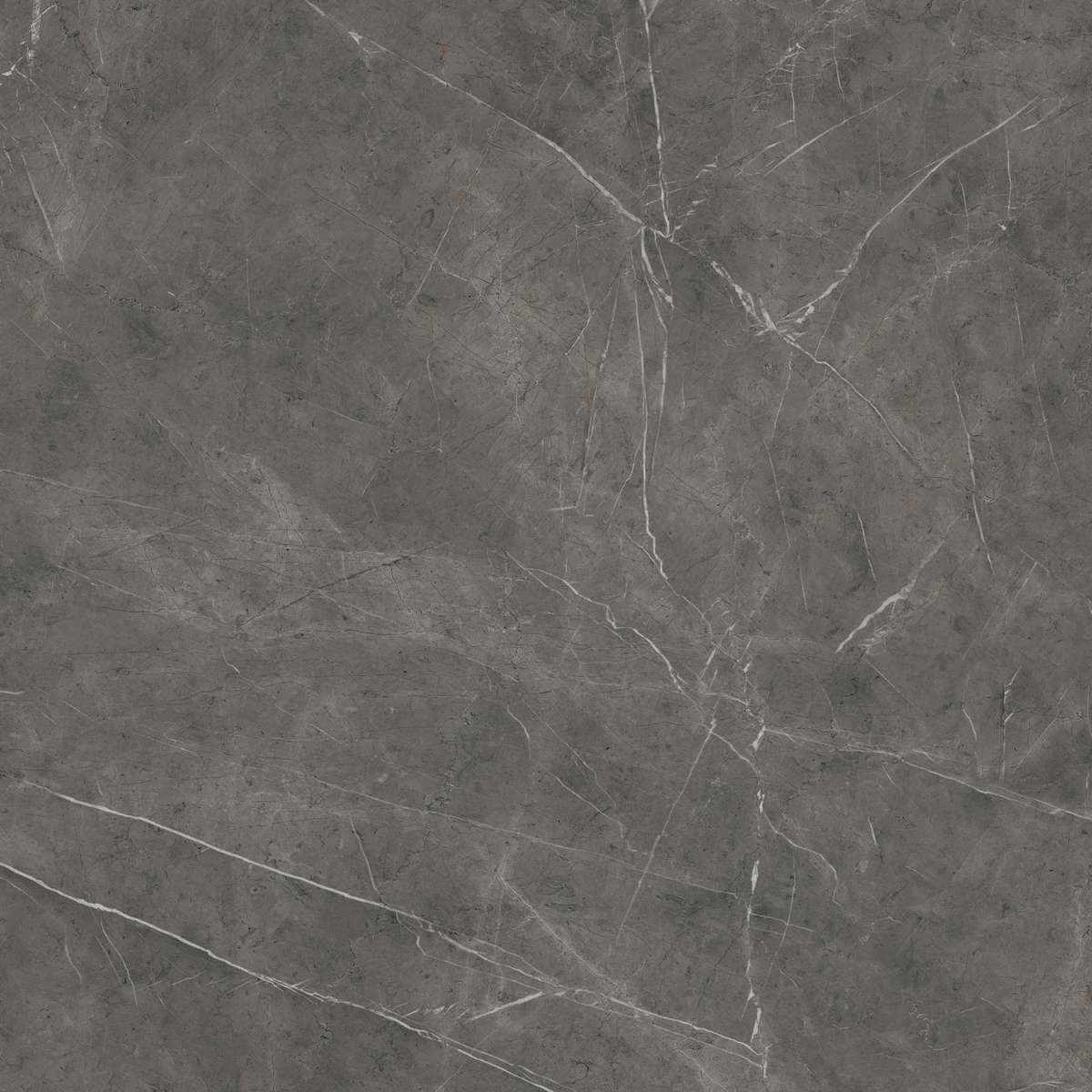Керамогранит Marvel Grey Stone 120x120 (AEQY)