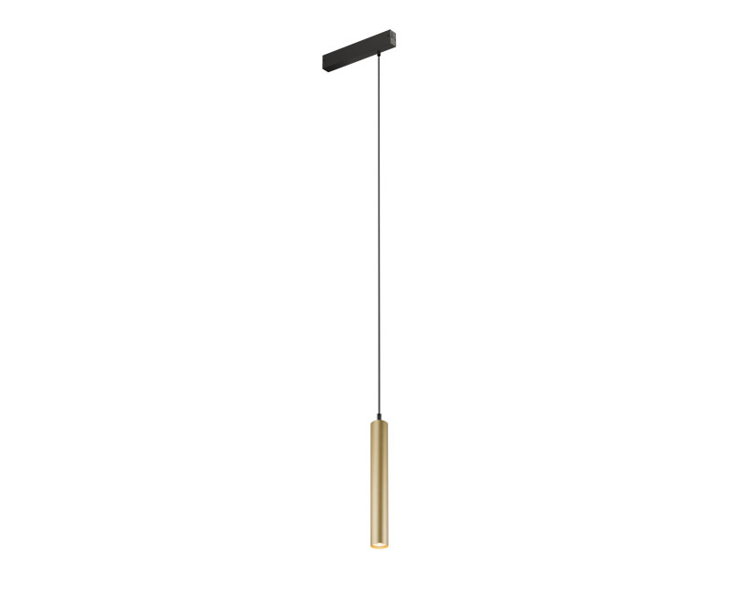 Трековый светильник Denkirs DK8008-BG