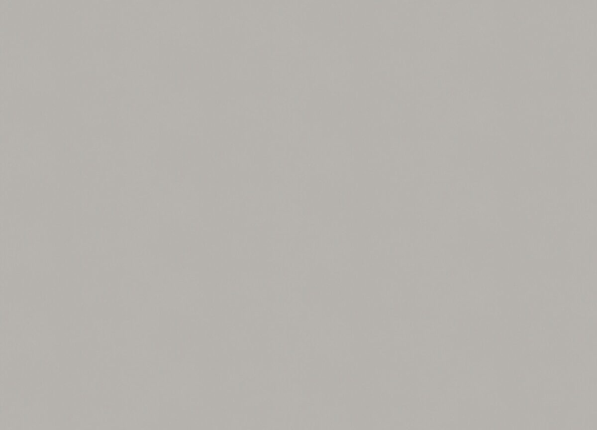 A100312 Обои ARTSIMPLE (Mixture) (1*6) 10,00x1,06 винил на флизелине