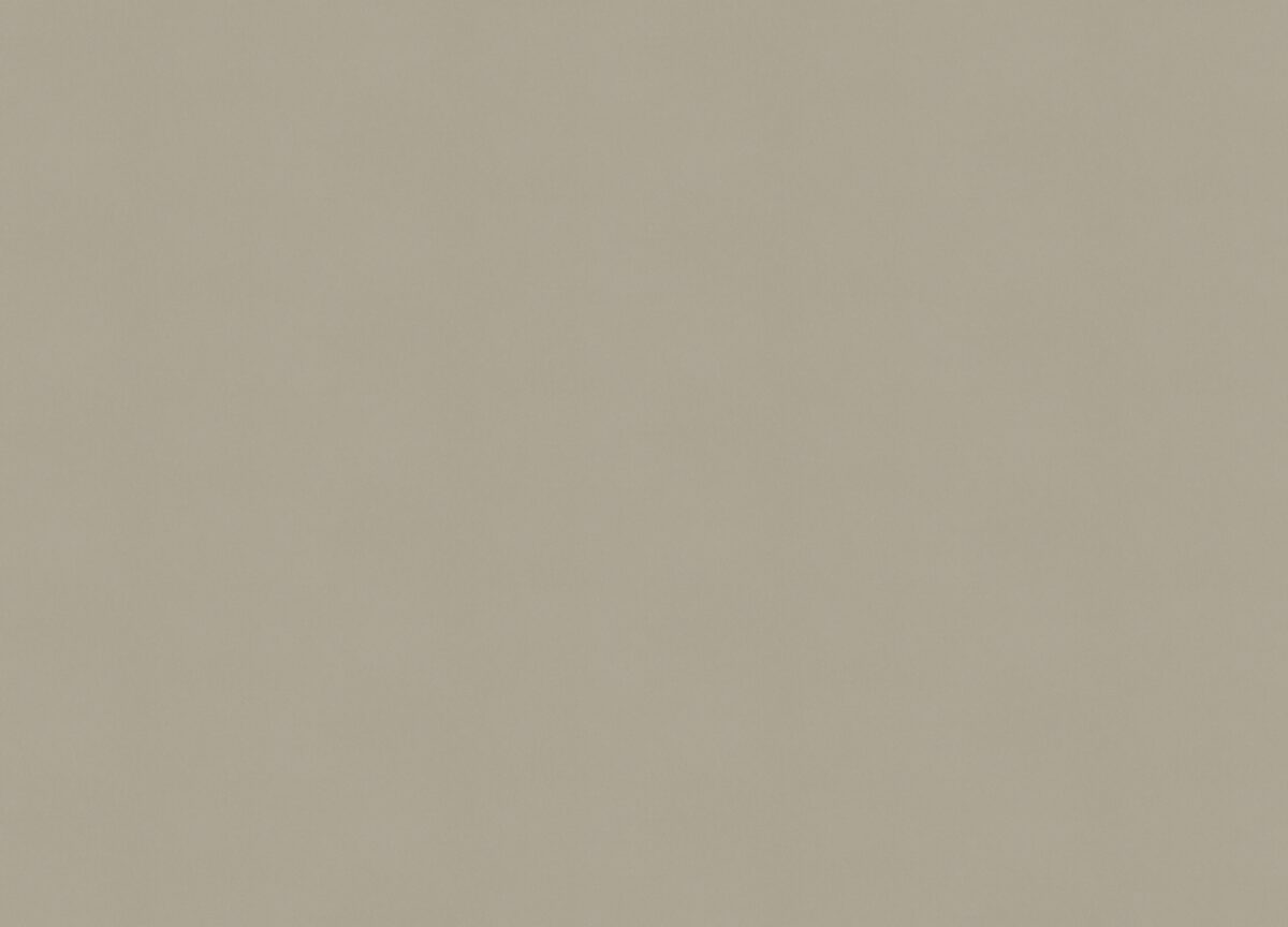 A100309 Обои ARTSIMPLE (Mixture) (1*6) 10,00x1,06 винил на флизелине