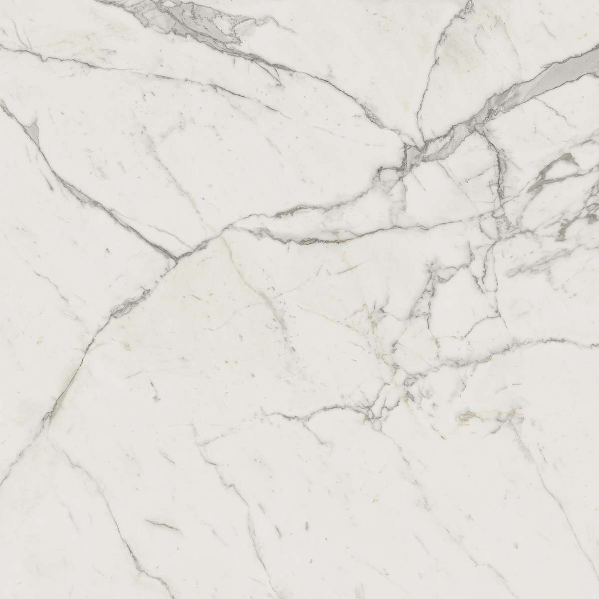 Керамогранит Marvel Calacatta Extra 120x120 (A20Y)