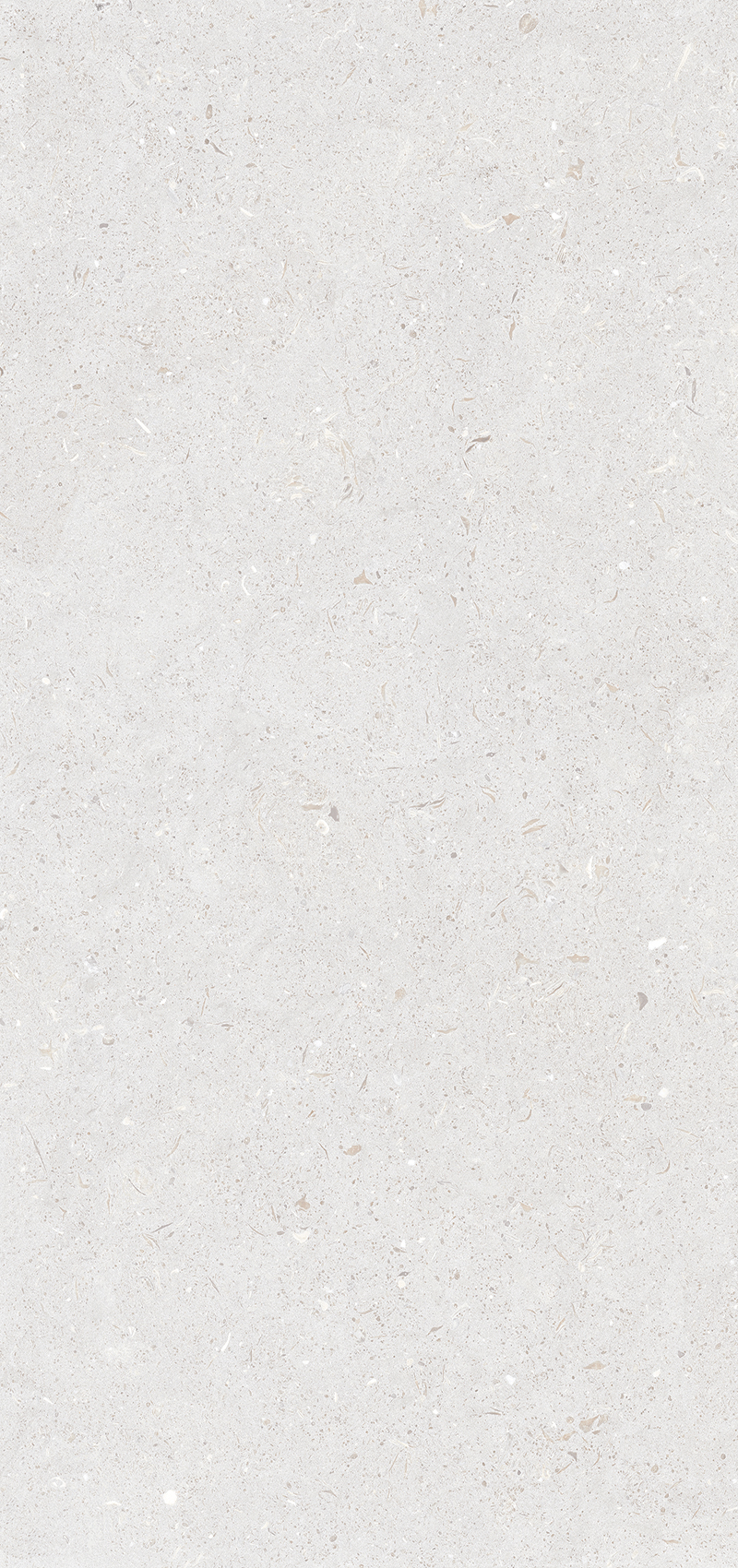 Керамогранит Simpolo Stx Fossil Bianco 3pc 59,8х119,8