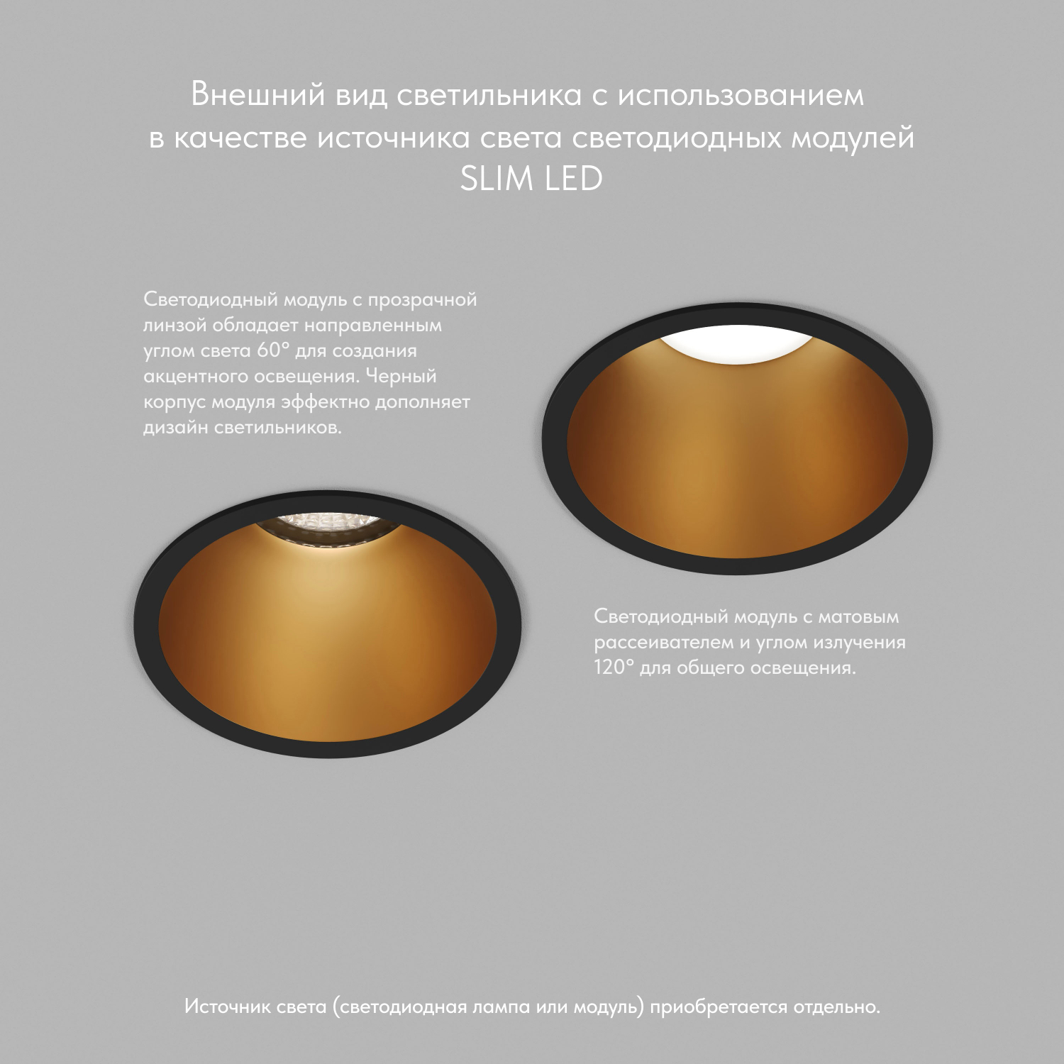 Точечный встраиваемый светильник Denkirs DK3026-BG