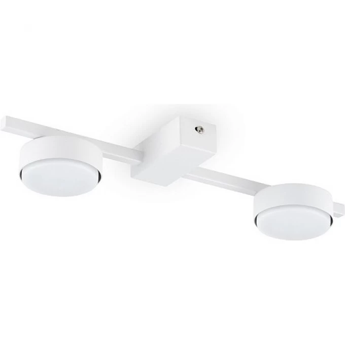Потолочный светильник Freya FR5363CL-02W