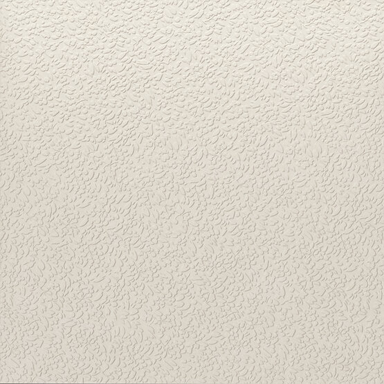 Керамогранит Ape Ceramica Nisus Neve Rect 60х60