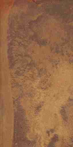 Керамогранит Ape Ceramica Reef Ocher Honed Rect. 60х120
