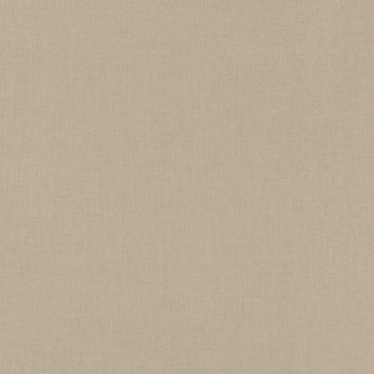 423921 Обои Rasch (Allegretto) (1*12) 10,05x0,53 винил на флизелине