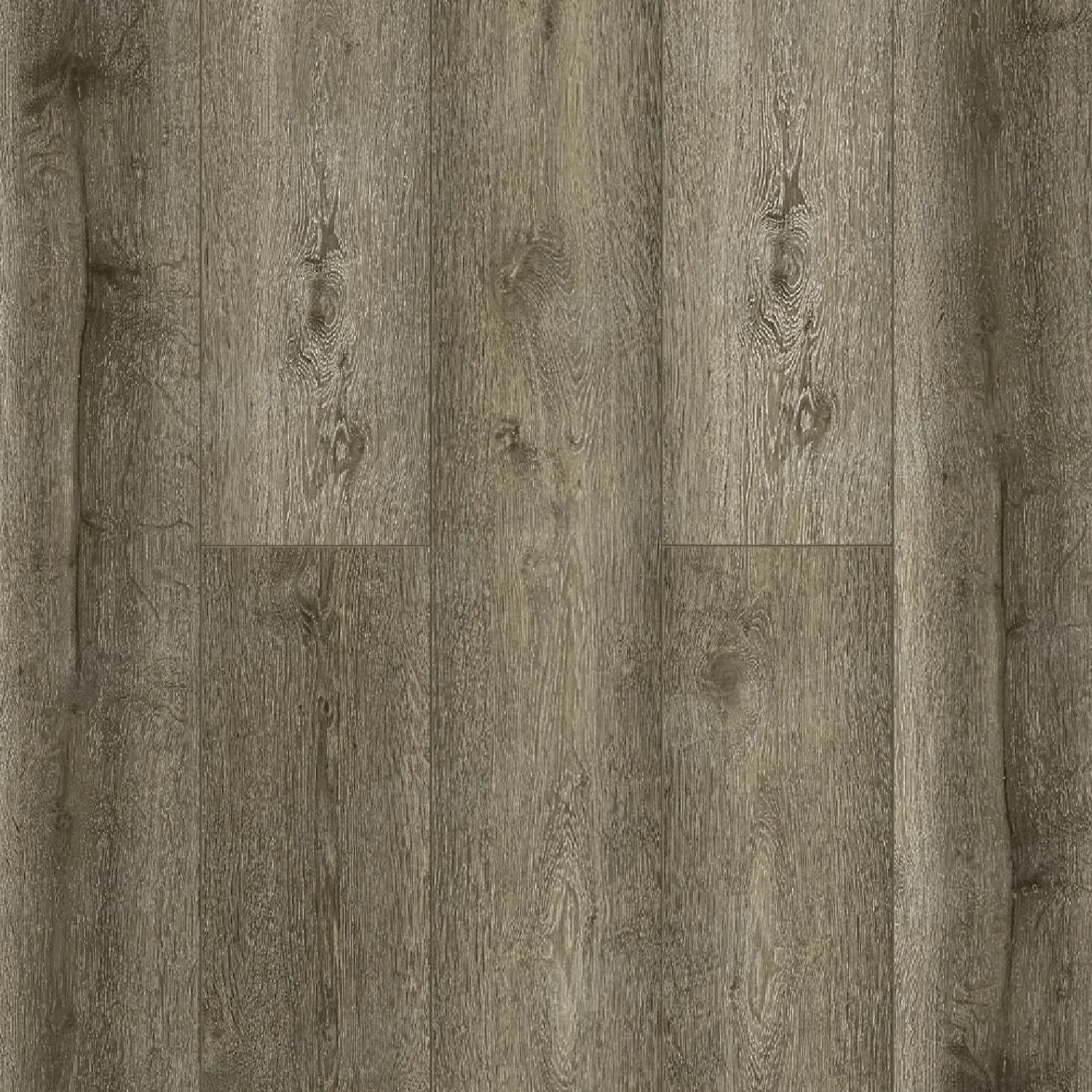 FORESTA 1004-13