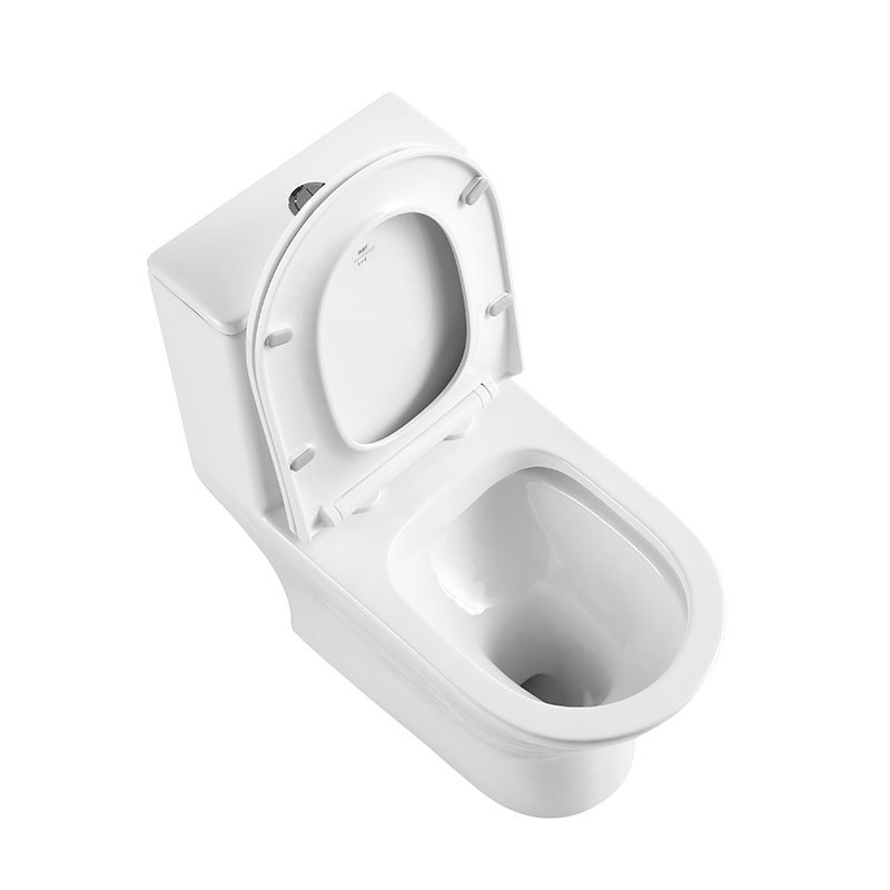 Унитаз-моноблок безободковый BelBagno Lounge BB8618CPR-MN/SC с крышкой сиденьем микролифт, белый