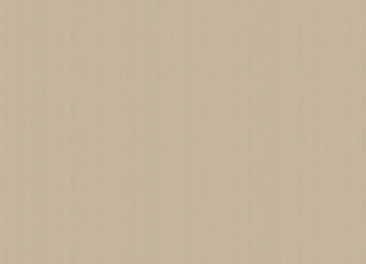 ARTS4 004  Обои Artsimple (Mozart) (1*6) 10,05x1,00 флизелин