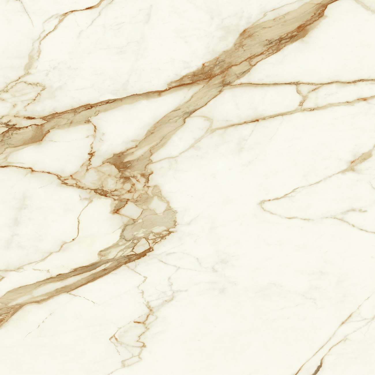 Керамогранит Marvel Calacatta Imperiale 120x120 Matt (A4Q7)