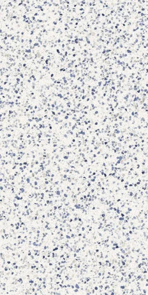 Керамогранит Marazzi Italy Frammento Macro Azzurro R10 RT 60x120