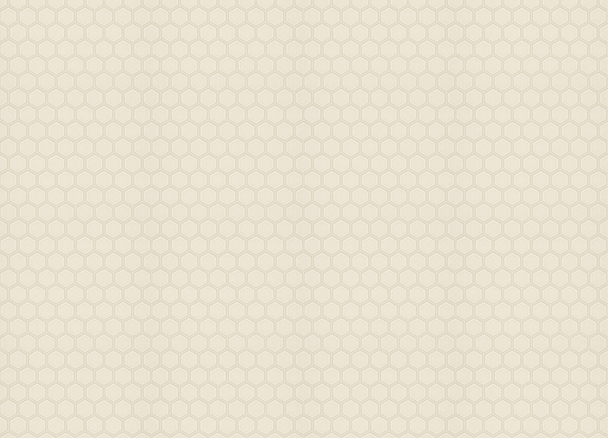 76030 Обои Zambaiti (Vision) (1*6) 10,05x0,70 винил на флизелине