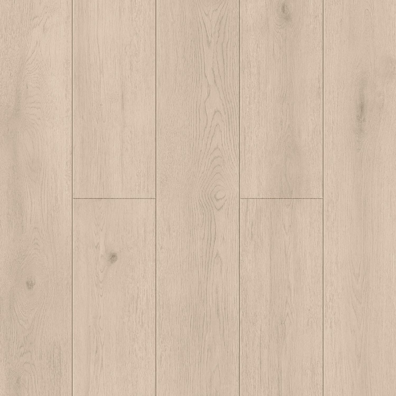 Elegant 1033-8