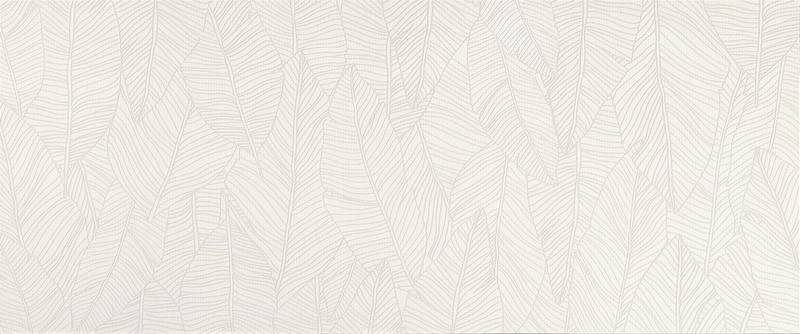 Плитка Aplomb White Leaf 50x120 (A6FC)