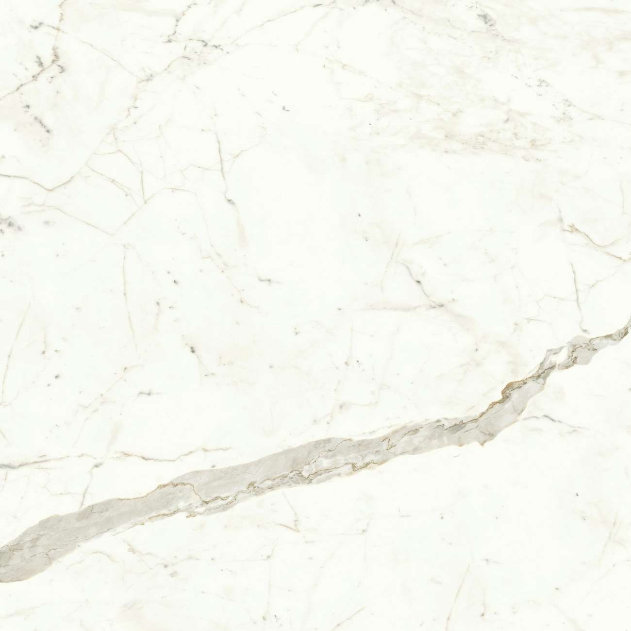 Керамогранит Marvel Calacatta Prestigio 120x120 Matt (A4Q5)
