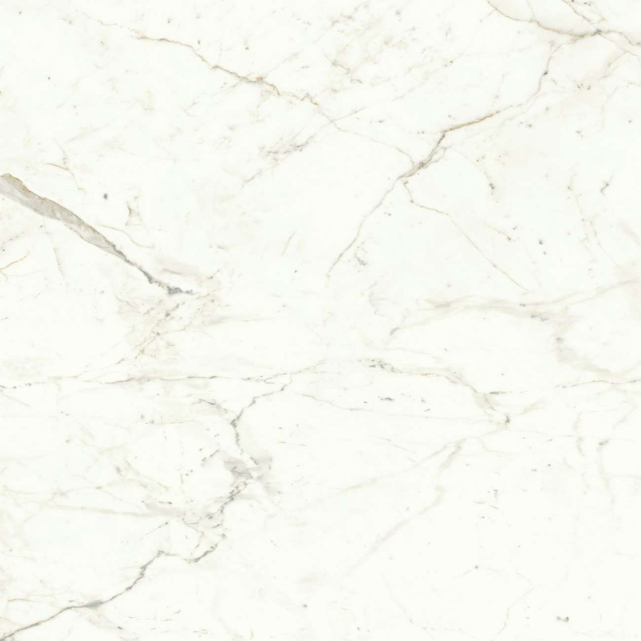 Керамогранит Marvel Calacatta Prestigio 120x120 Matt (A4Q5)