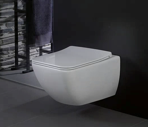 Унитаз подвесной Villeroy & Boch Venticello 4611R001