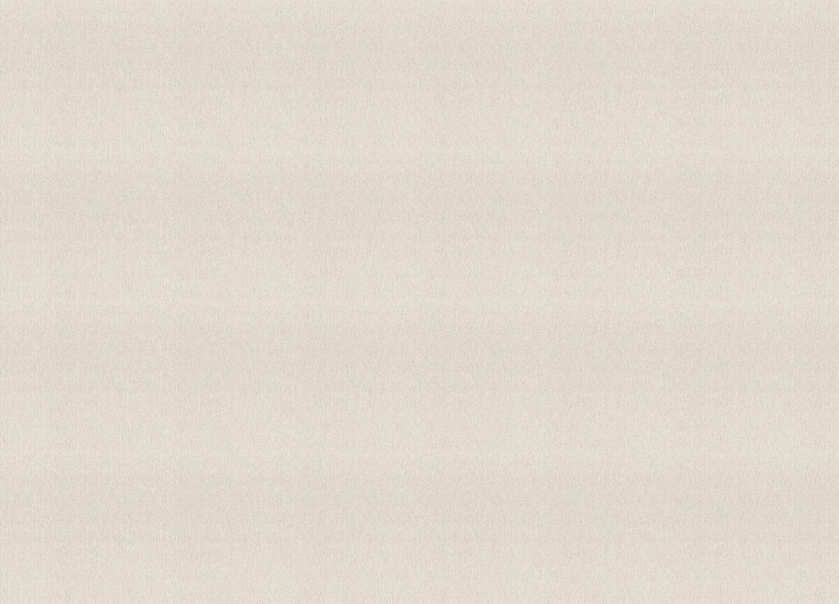 978414 Обои Rasch (Florentine Incanto) (1*6) 10,05x1,06 винил на флизелине
