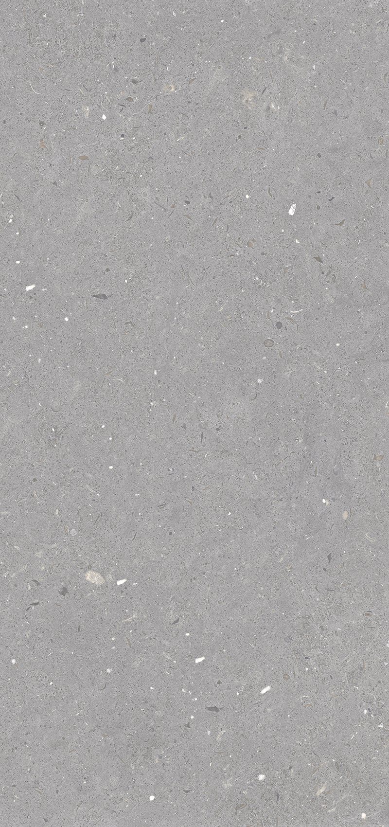 Керамогранит Simpolo Stx Fossil Grey 3pc 59,8х119,8
