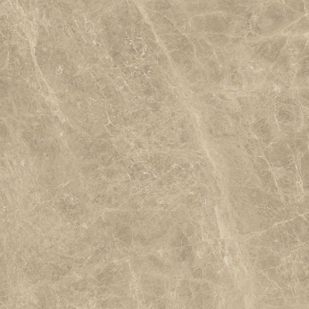 Керамогранит Marvel Elegant Sable 120x120 Lappato (AENK)