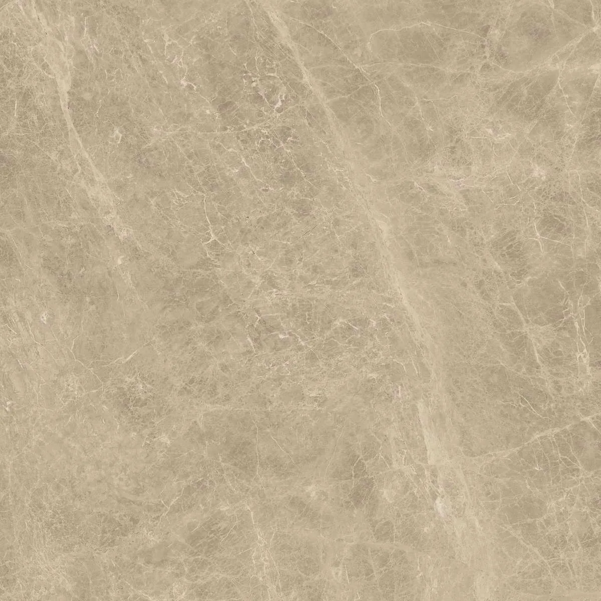 Керамогранит Marvel Elegant Sable 120x120 Lappato (AENK)