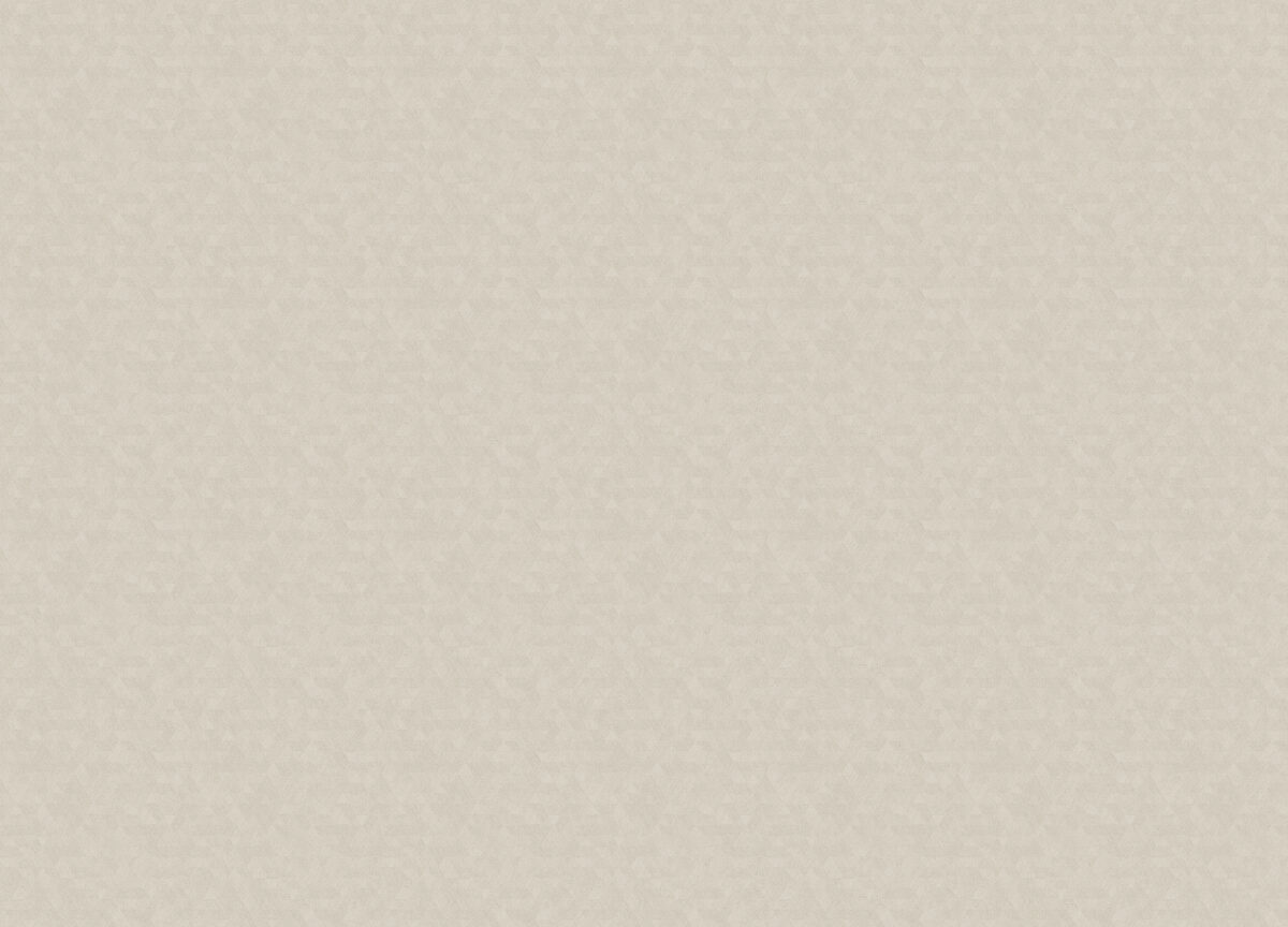R146102 Обои Grandeco (SECRET) (1*6) 10,05х1,06  винил на флизелине