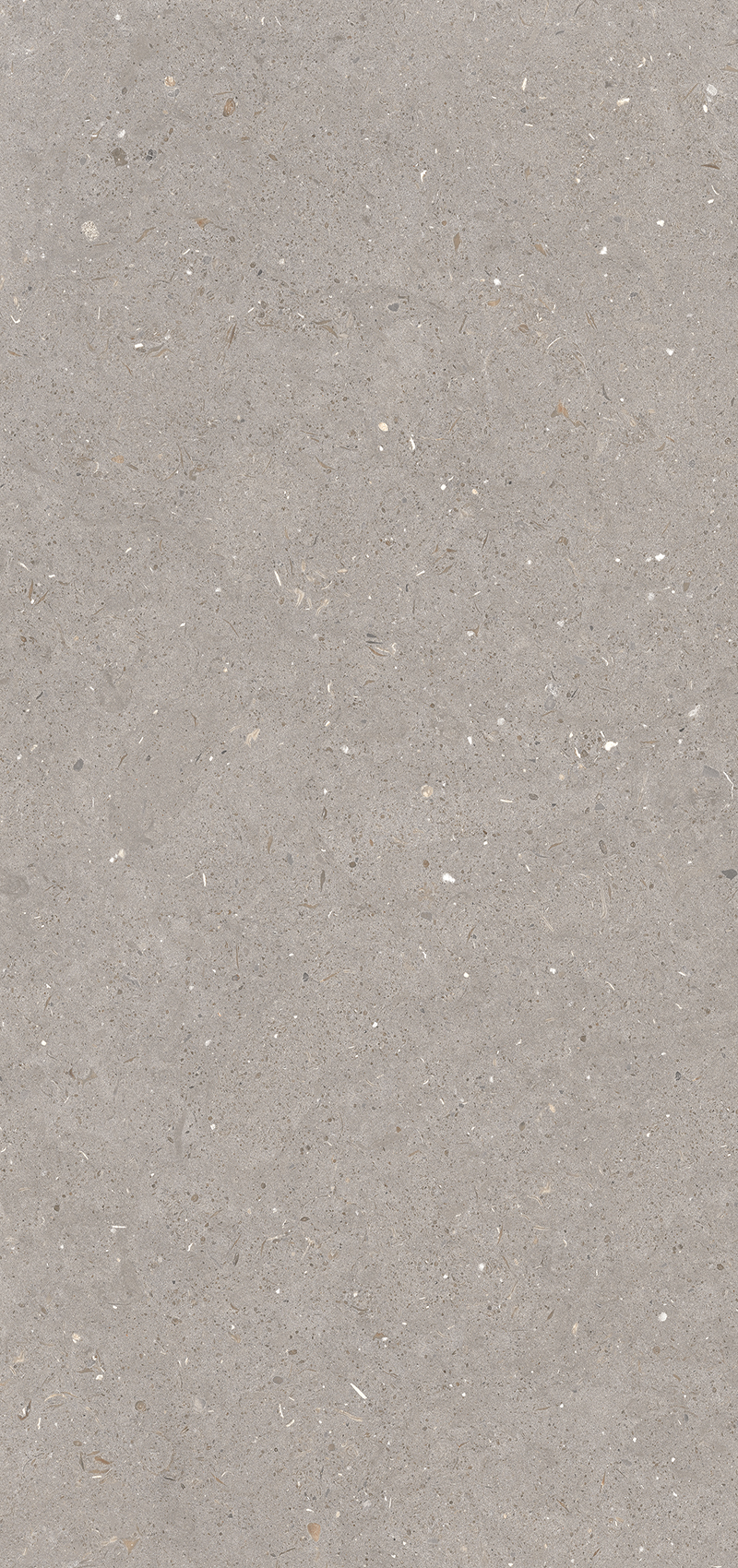 Керамогранит Simpolo Stx Fossil Mud 3pc 59,8х119,8
