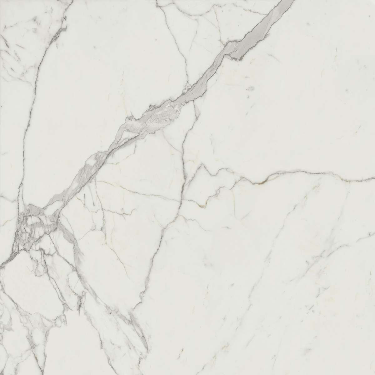 Керамогранит Marvel Calacatta Extra 120x120 (A20Y)