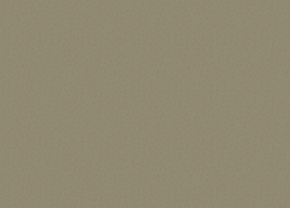 R145122 Обои Grandeco (SECRET) (1*6) 10,05х1,06  винил на флизелине