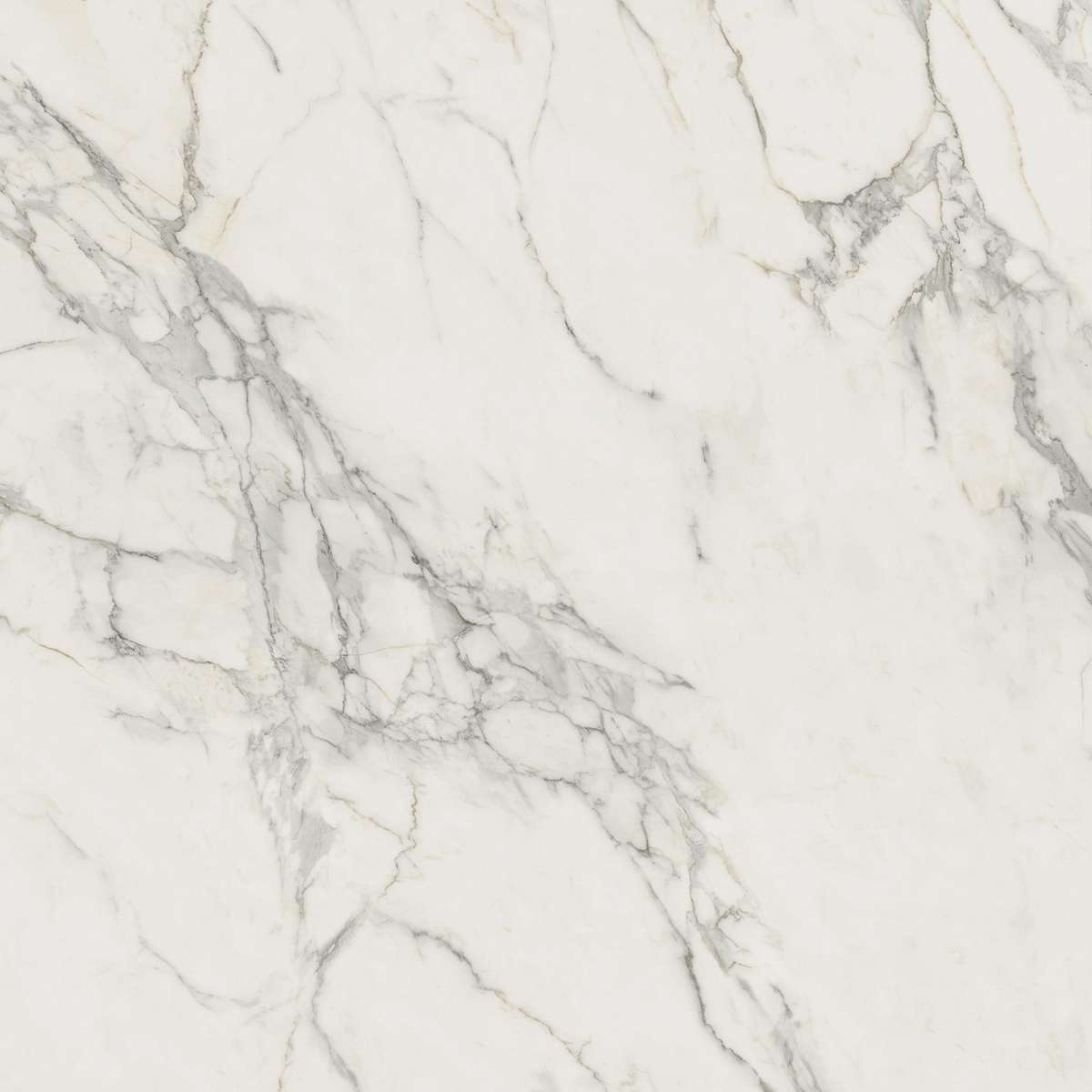 Керамогранит Marvel Calacatta Extra 120x120 (A20Y)