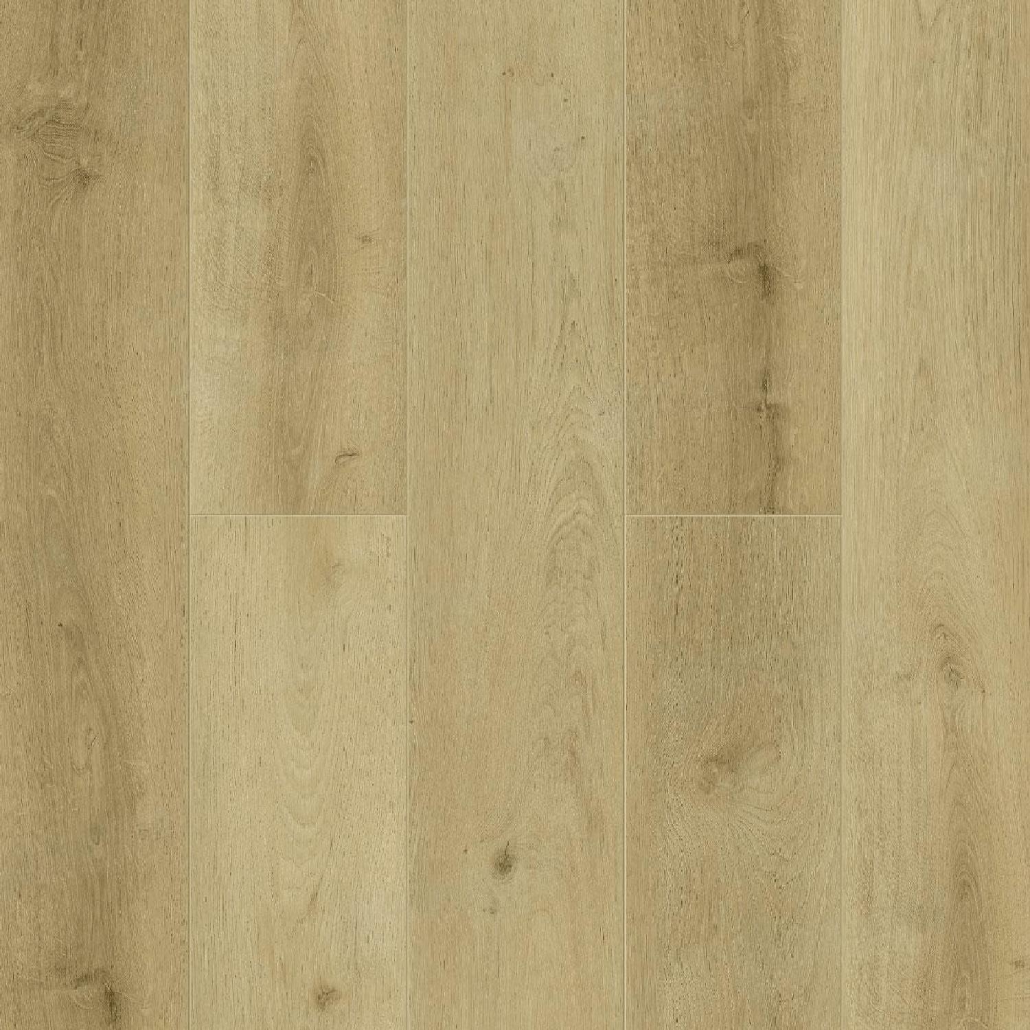 Wieland 1002-15