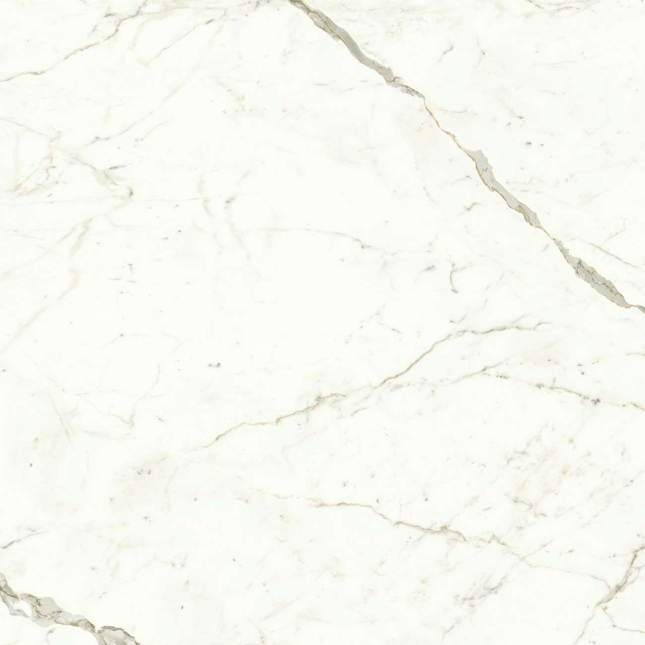 Керамогранит Marvel Calacatta Prestigio 120x120 Matt (A4Q5)