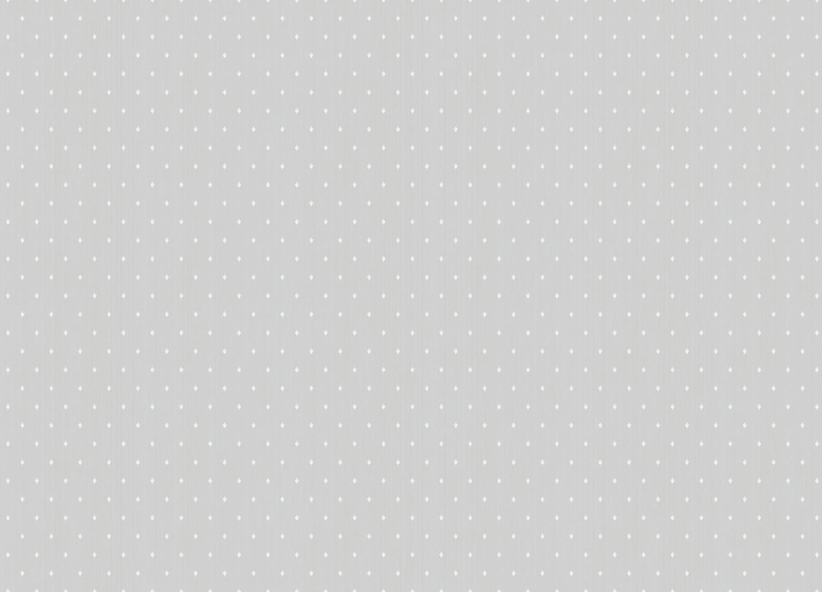ARTS2 001  Обои Artsimple (Mozart) (1*6) 10,05x1,00 флизелин