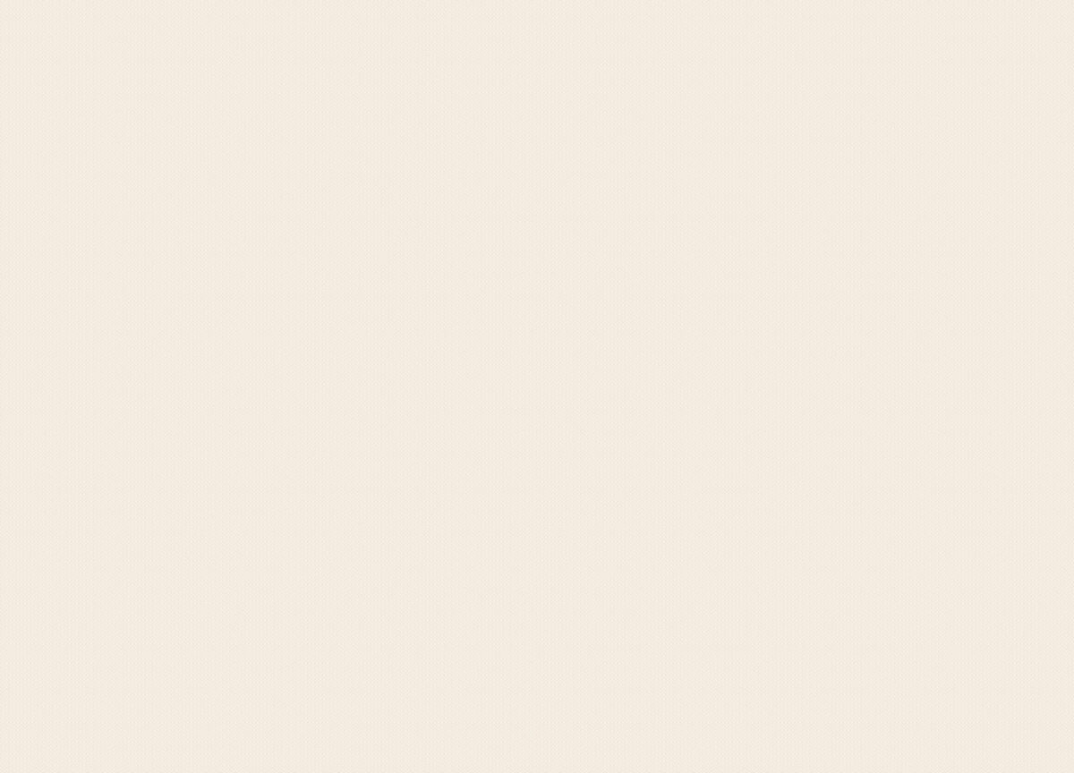 MIR4 001/2 Обои HYGGE Roll (Made in Russia) (1*6) 10,05x1,00 флизелин