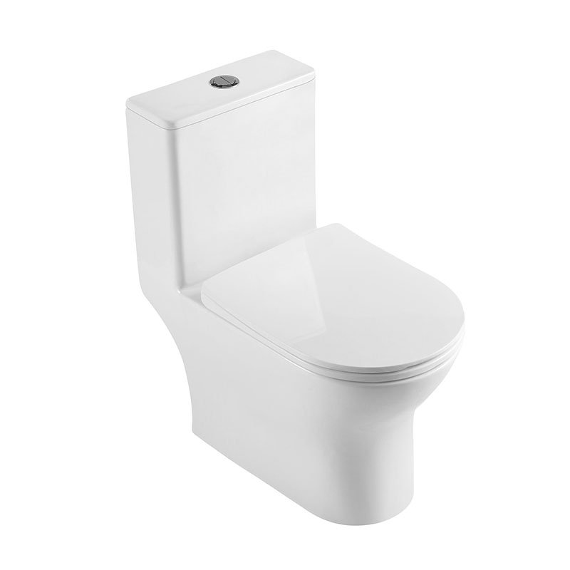Унитаз-моноблок безободковый BelBagno Lounge BB8618CPR-MN/SC с крышкой сиденьем микролифт, белый