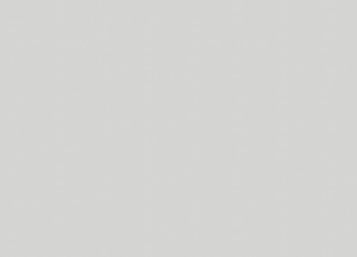 A100113 Обои ARTSIMPLE (Mixture) (1*6) 10,00x1,06 винил на флизелине