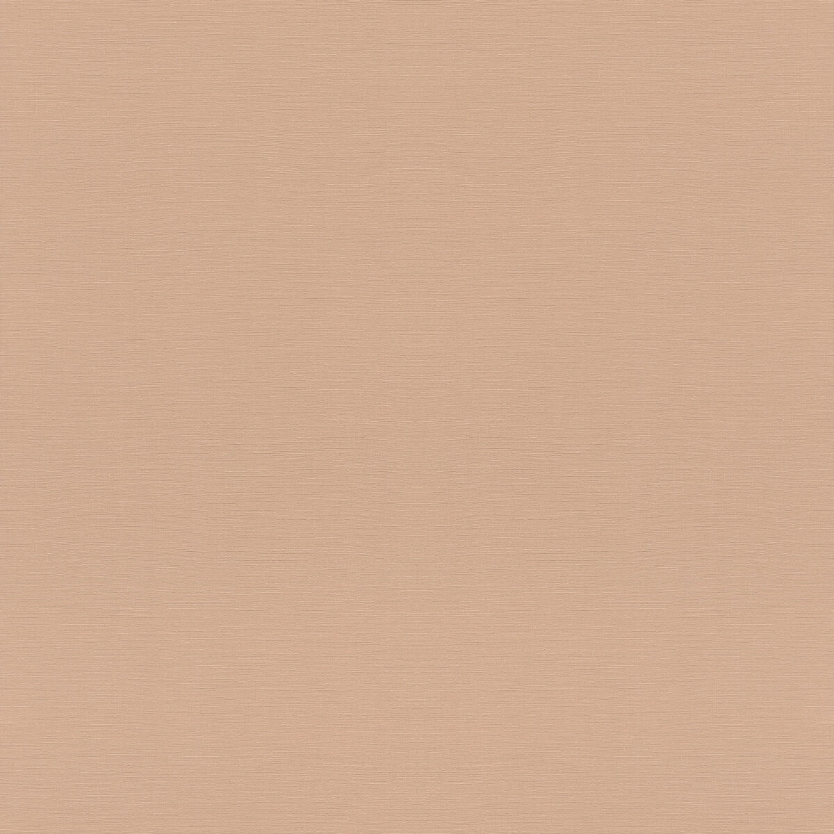 687576 Обои Rasch (Allegretto) (1*12) 10,05x0,53 винил на флизелине