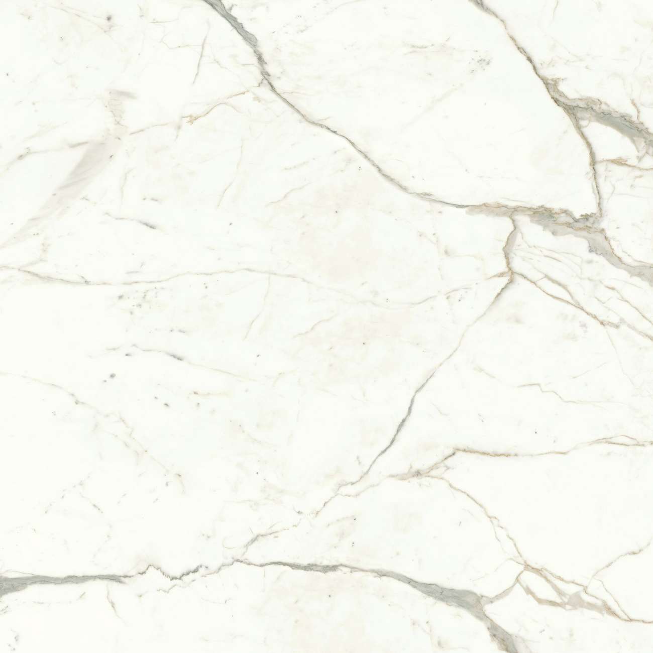 Керамогранит Marvel Calacatta Prestigio 120x120 Matt (A4Q5)
