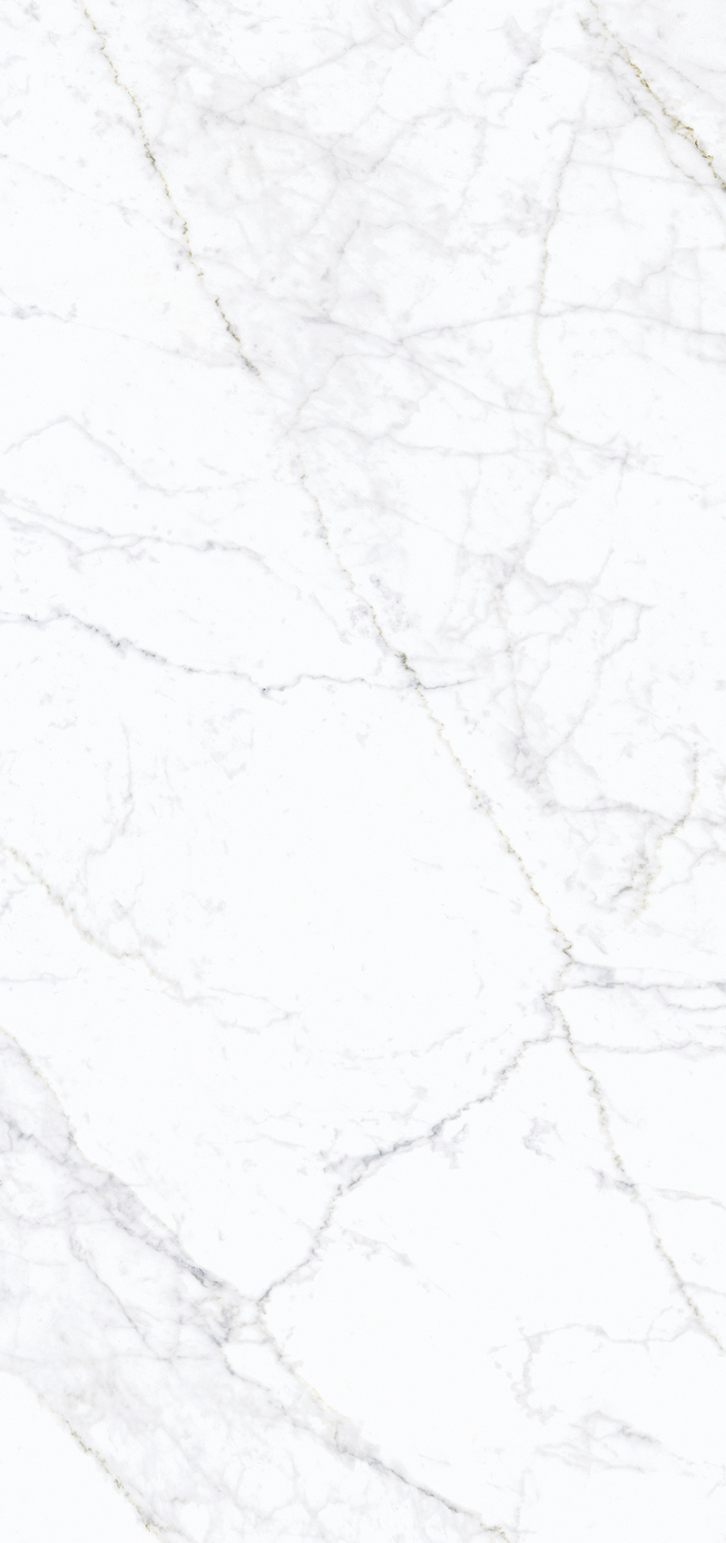 Керамогранит Simpolo Pg Carrara Fogg 3pc 59,8х119,8