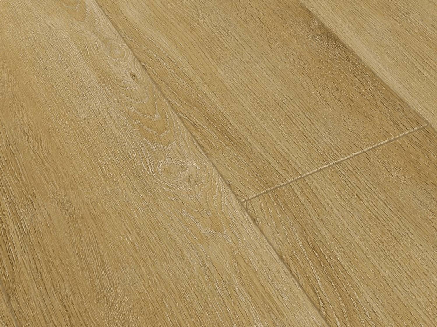 COSTANTE 1004-5