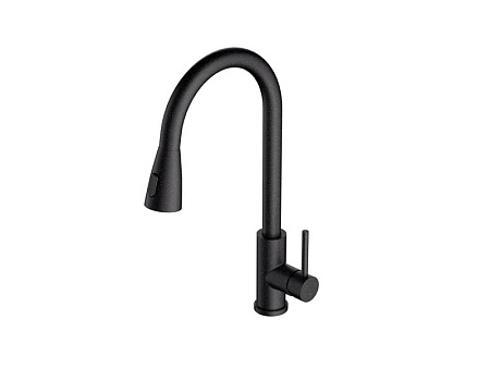 Смеситель для кухни Alveus Primrose PS Carbon G91 черный