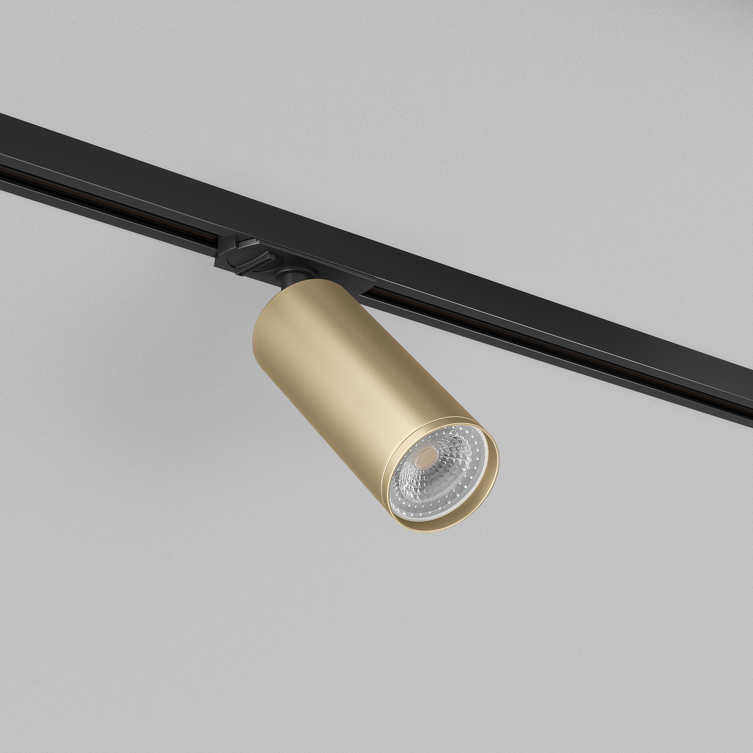 Трековый светильник Denkirs DK6202-BG
