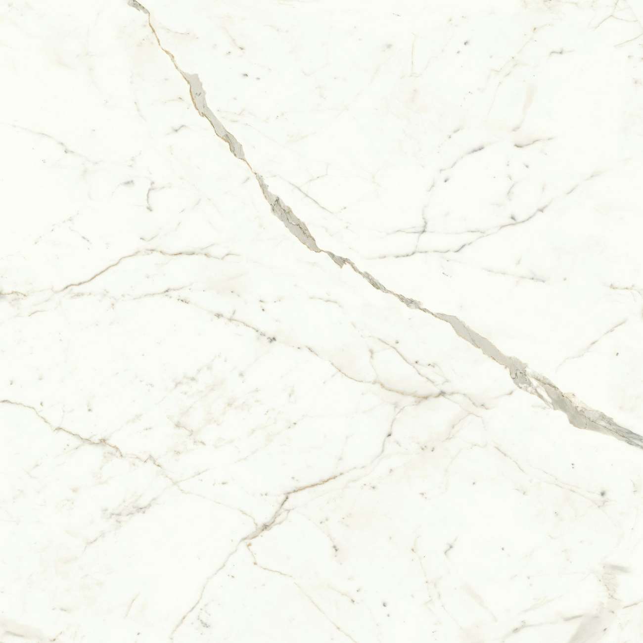Керамогранит Marvel Calacatta Prestigio 120x120 Matt (A4Q5)