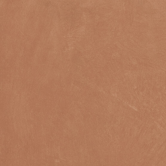 Керамогранит Ape Ceramica Anti-Slip Argillae Coral Rect 60х60