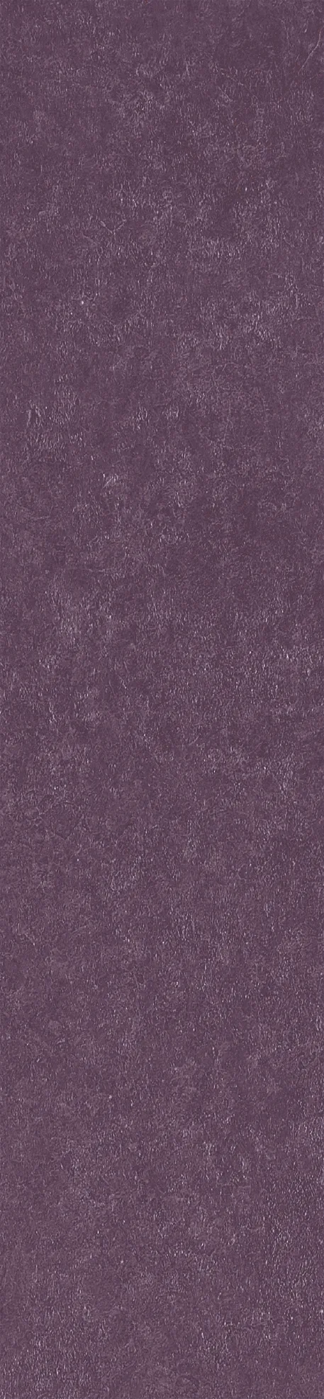Керамогранит Simpolo Scs Spectra Wine 5,8х25