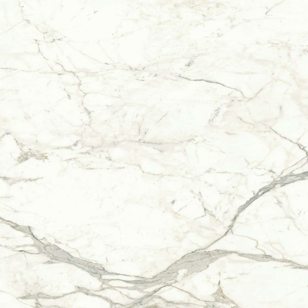 Керамогранит Marvel Calacatta Prestigio 120x120 Matt (A4Q5)